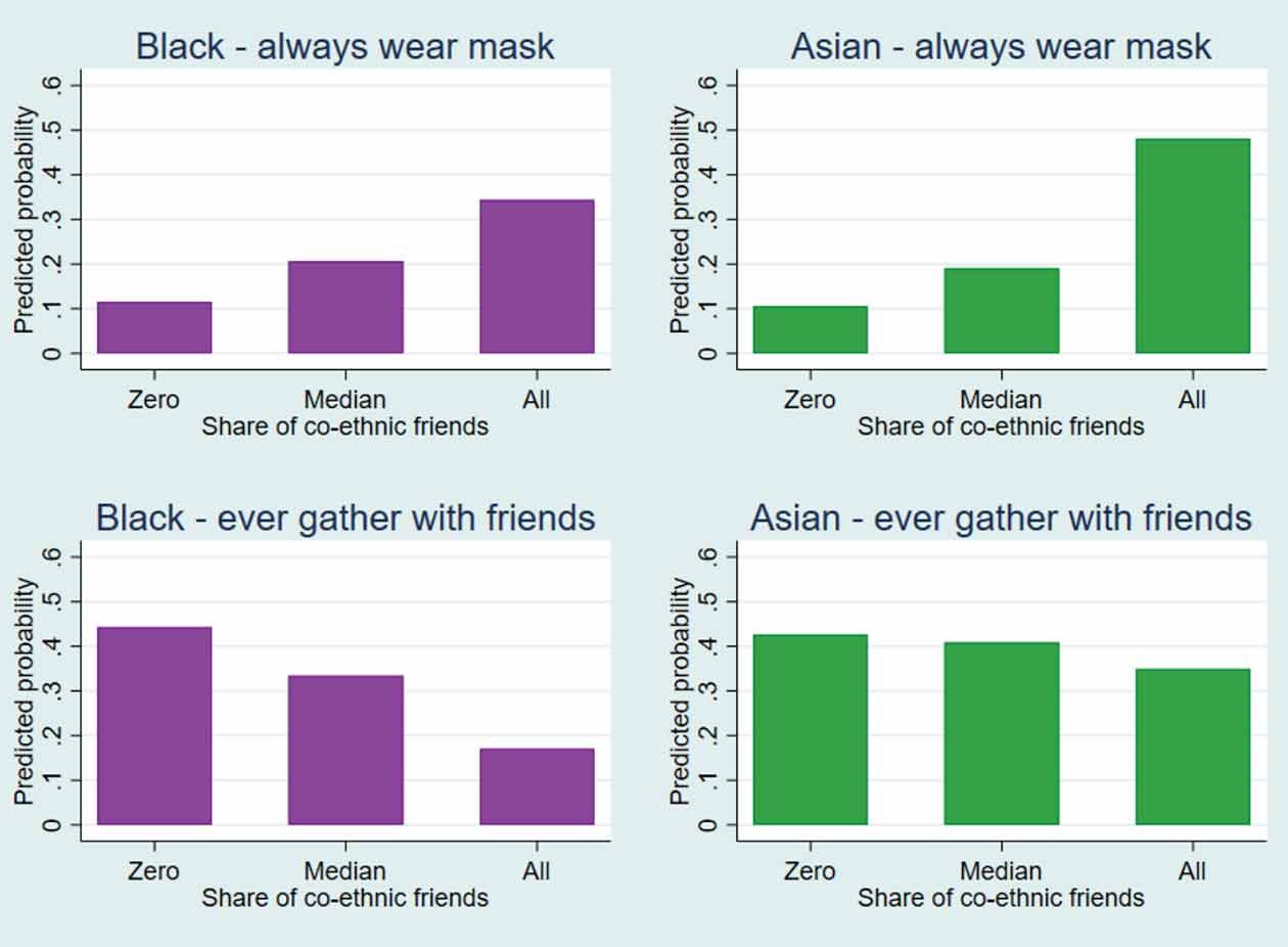 Graphs - ethnicity andpercnetage of people who gather with friends and also wear a mask