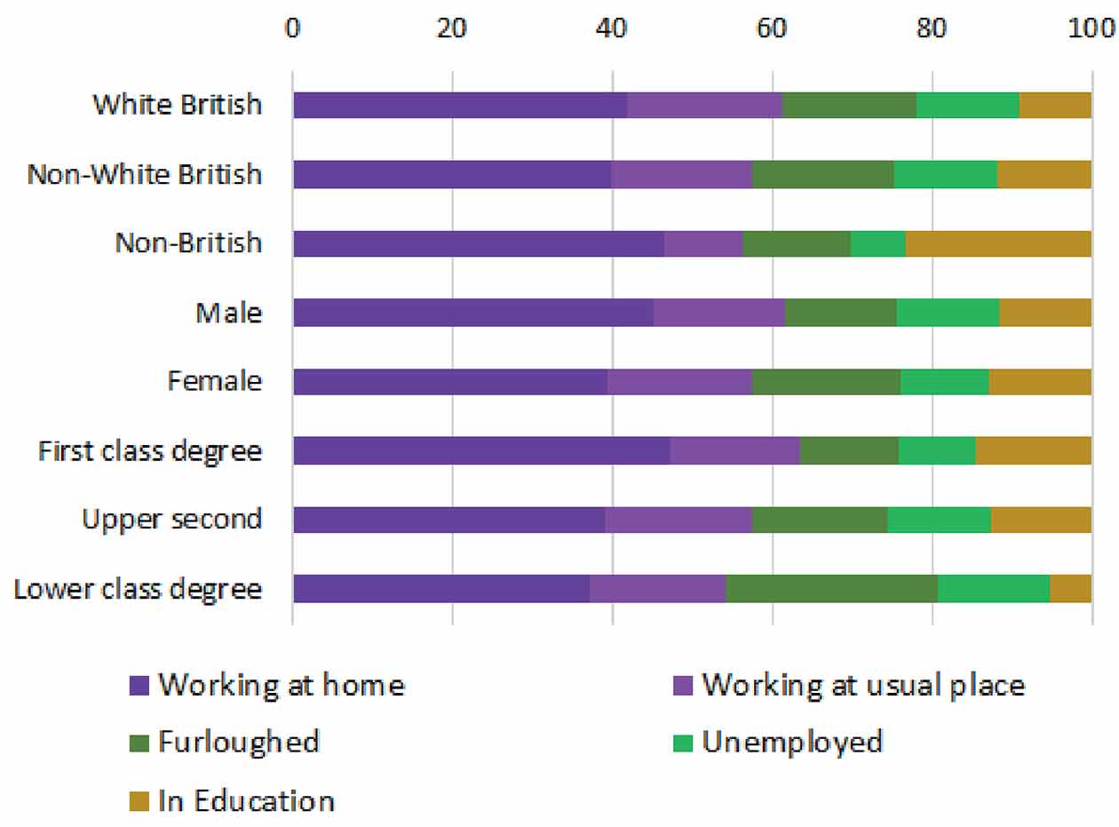 Graph -main activity of recent graduates in June 2020